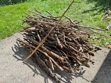 Photo of free Wood for Fire Pit (60506) #1