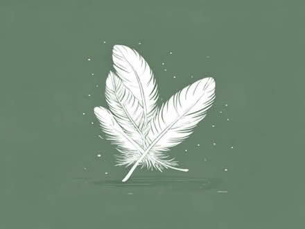 Photo of free Feathers (Telford and Wrekin TF4) #1