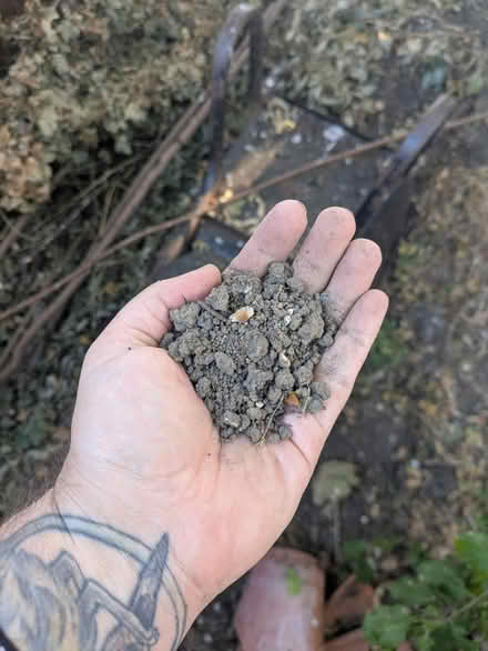 Photo of free Topsoil, ungraded (Sunbury on Thames TW16) #2