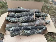 Photo of free Two boxes of wood (North Everett) #1