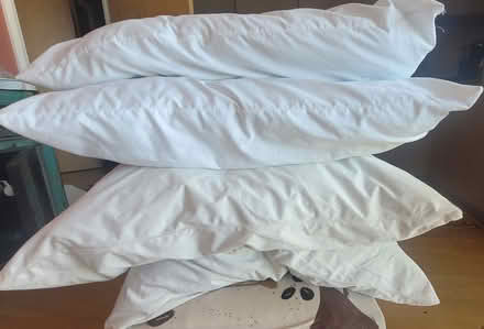 Photo of free 4 Pillows (Bow E3) #1