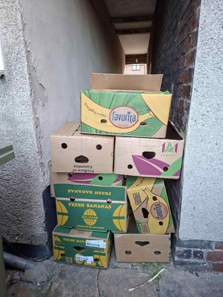 Photo of free Banana boxes (Chesterfield S40) #1