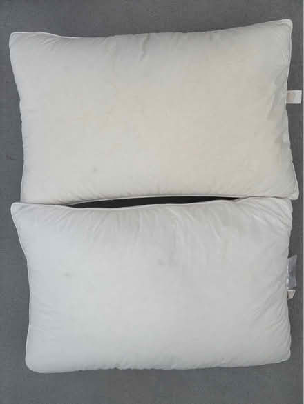 Photo of free Standard size goose down pillow (Battersea, SW11) #2