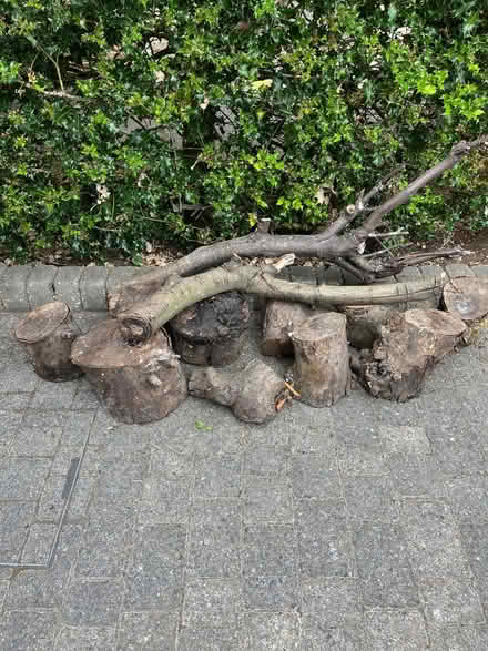 Photo of free Apple wood logs (The Cedars Estate WD3) #1