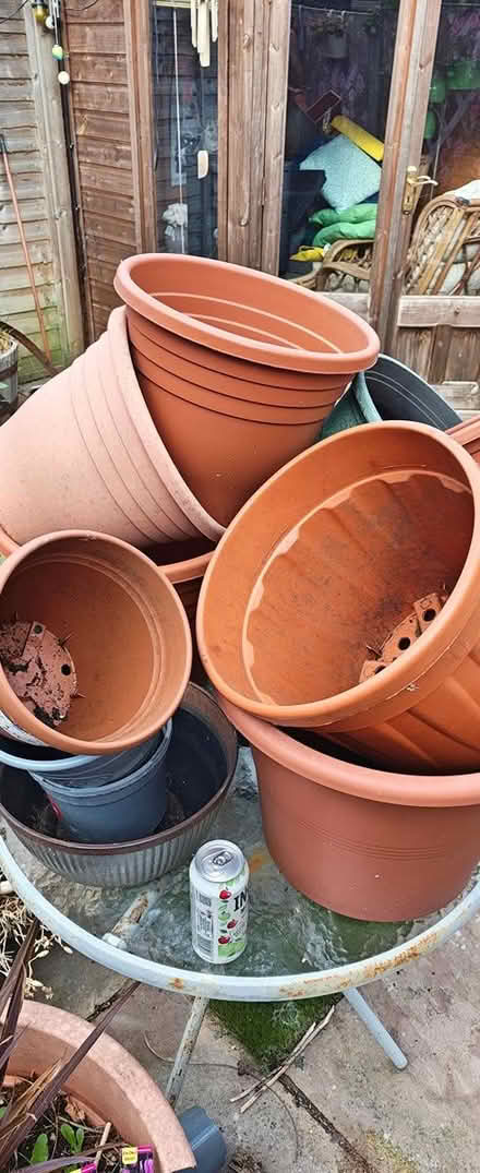 Photo of free Plastic Plant Pots (Hedge End SO30) #4