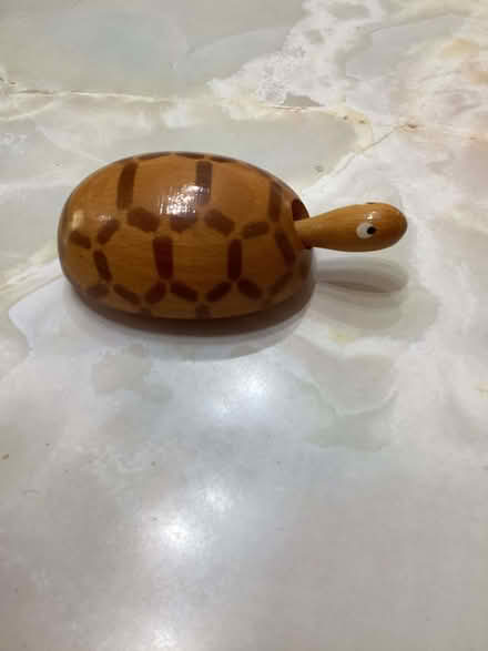 Photo of free Nodding Tortoise (Chalfont St Giles HP8) #1