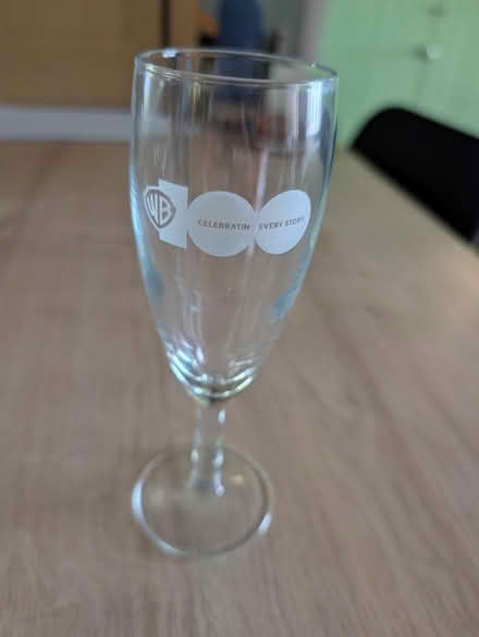 Photo of free ​Warner Bros 100th Champagne Flute (Bracknell RG12) #1