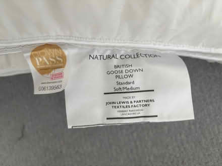 Photo of free Standard size goose down pillow (Battersea, SW11) #3