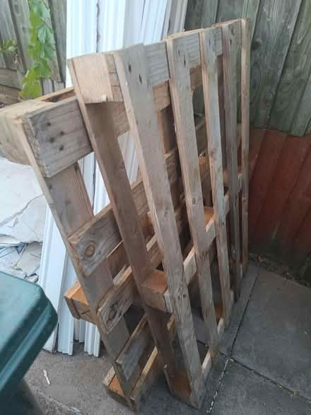 Photo of free Pallets (Cv6 4px) #1