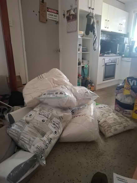 Photo of free Wool Donna's sheets (Eagle Vale) #1