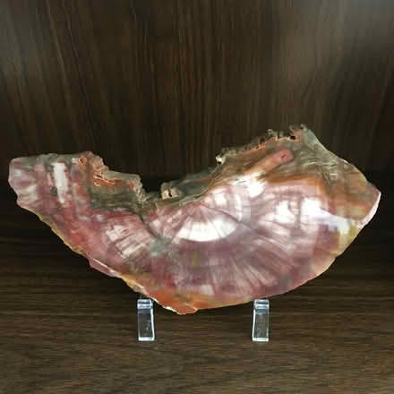 Photo of free Petrified Wood and Stand (Foster & California Ave) #1