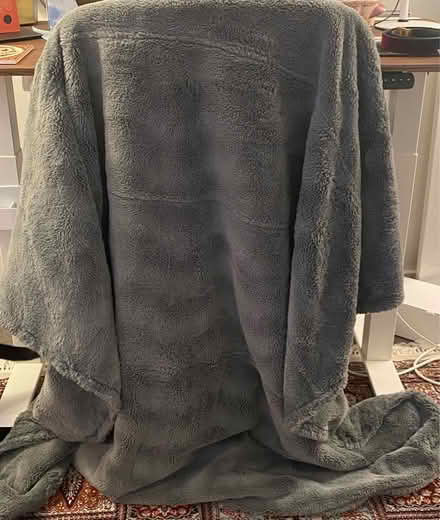 Photo of free PillowSac cover (West End) #2