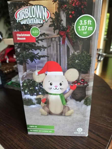 Photo of free Small inflatable (Laurel) #2
