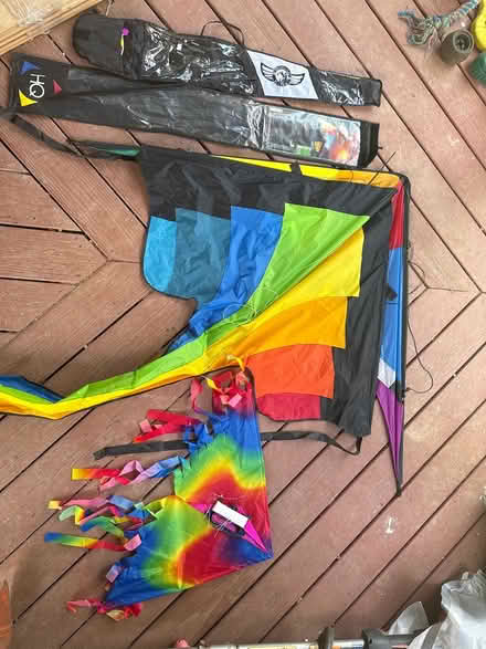 Photo of free Two rainbow color kites (Alexandria, VA) #1
