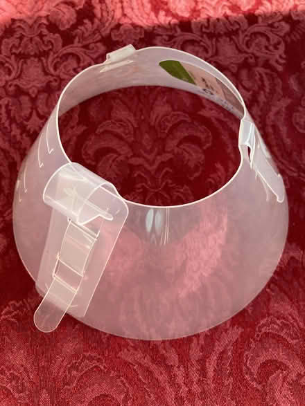 Photo of free Elizabethan Cat Collar (Near Eubank Costco) #1