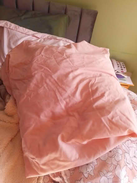 Photo of free Double duvet with cover ( student) (Killamarsh S21) #3