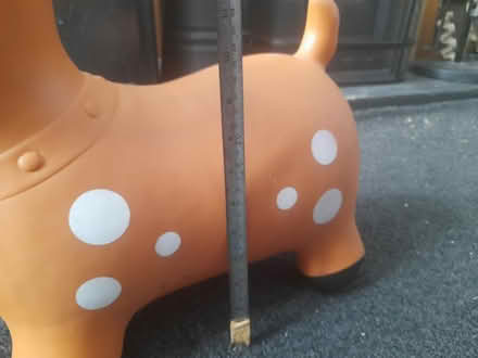 Photo of free Bouncy reindeer (S35 oughtibridge) #2