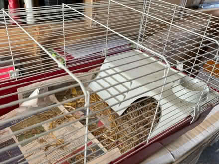 Photo of free Indoor guinea pig cage (Kinnerton LD8) #1