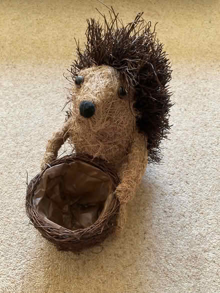 Photo of free Squirrel Planter (Yarnton OX5) #1