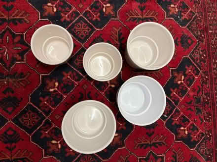 Photo of free Five small indoor plant pots (Woofferton SY8) #1