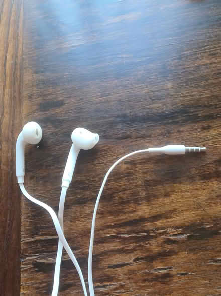 Photo of free Wired ear buds (Upper Luton ME5) #2
