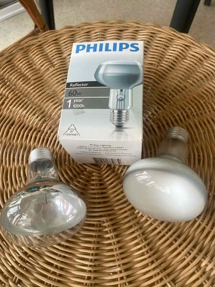 Photo of free Reflector Light Bulbs (Canford Cliffs BH13) #1
