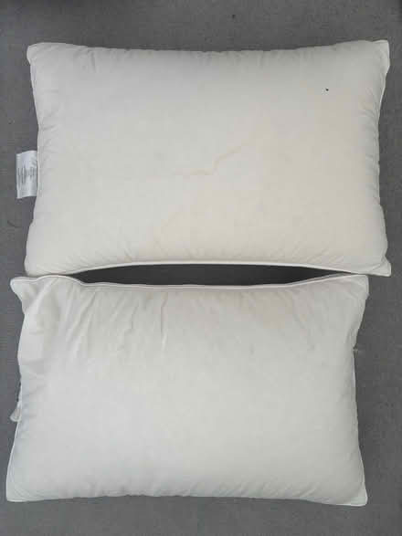 Photo of free Standard size goose down pillow (Battersea, SW11) #1