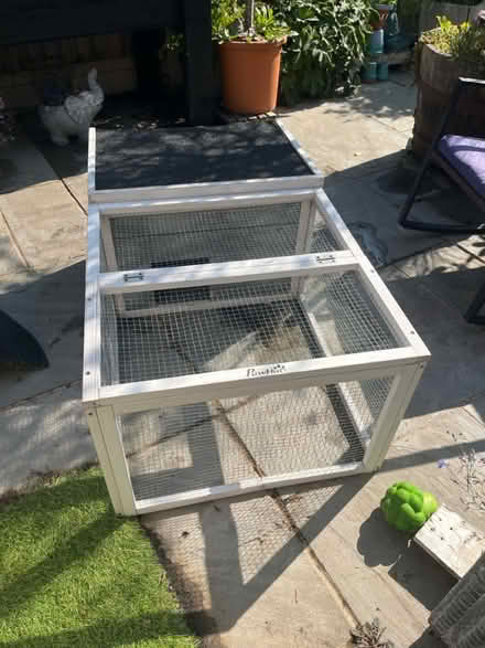 Photo of free Rabbit, Tortoise run (Cm120tb) #1