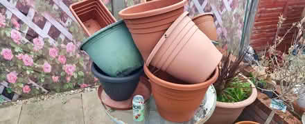 Photo of free Plastic Plant Pots (Hedge End SO30) #2
