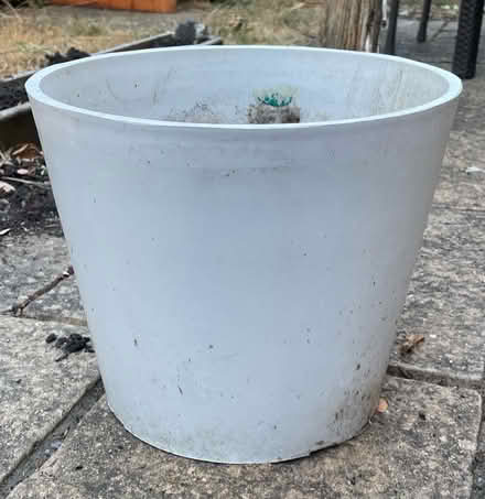 Photo of free White plastic plant pot (Downham BR1) #1
