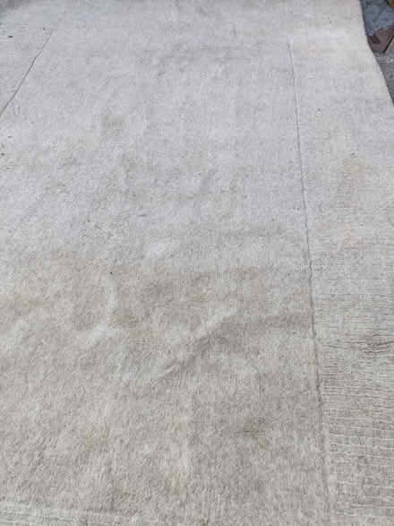 Photo of free Big wool rug (Easton BS5) #4