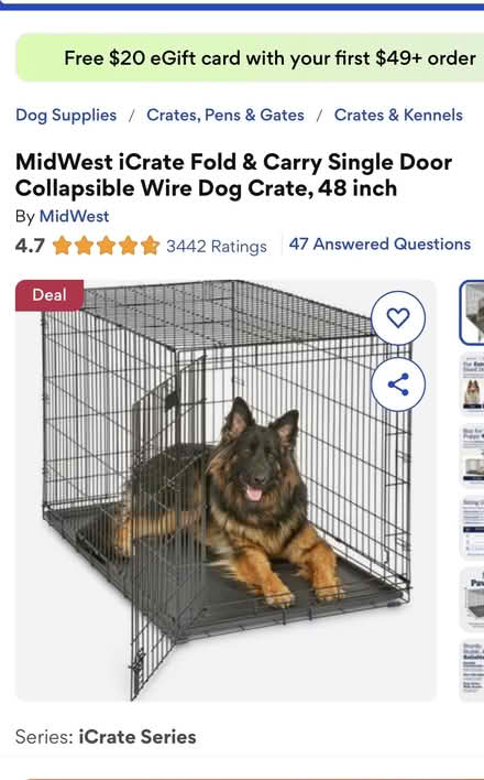 Photo of free 48” Wire Dog Crate - Large (Alexandria, VA) #3
