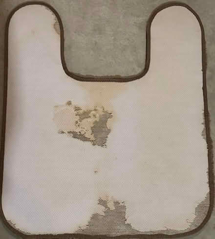 Photo of free Brown U-Shaped Toilet Rug (Port Murray, NJ) #2