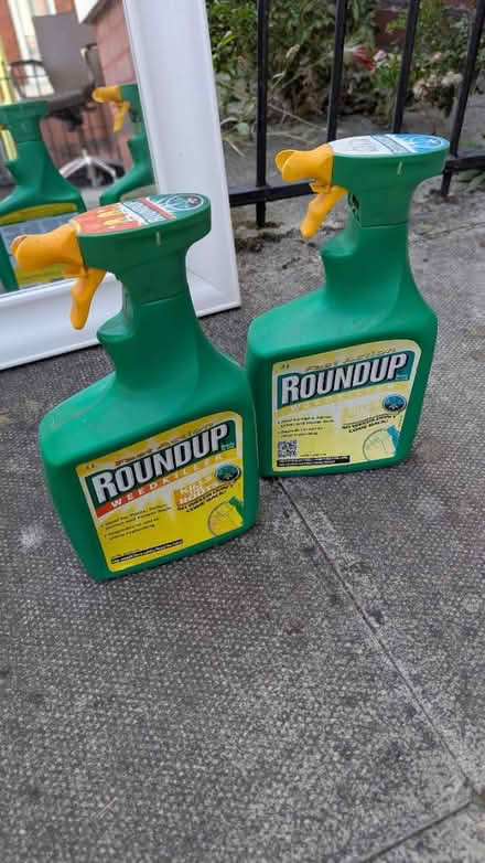 Photo of free Round up (Rusholme M14) #1