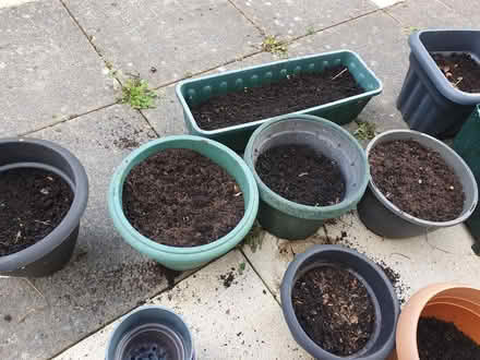 Photo of free Plastic plant pots (Lauriston EH3) #1