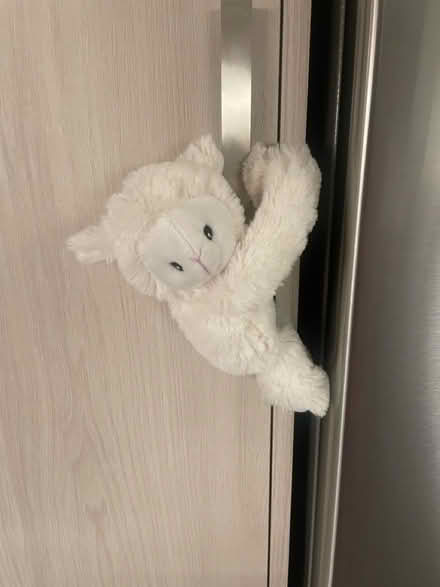 Photo of free Plush lamb Velcro cling (Bayview/highway 7) #1