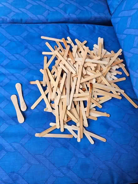 Photo of free Popsicle sticks (Near the experimental farm) #1