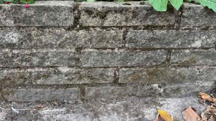 Photo of free Bricks or hard core (Kineton Green B92) #1