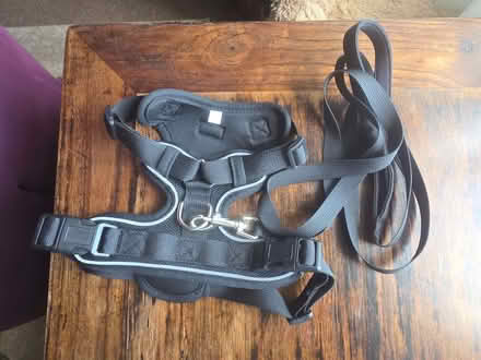 Photo of free small dog or cat harness. (Upper Luton ME5) #2