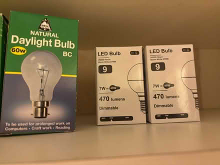 Photo of free Lots of bulbs (Headington OX3) #3