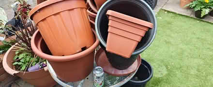 Photo of free Plastic Plant Pots (Hedge End SO30) #3