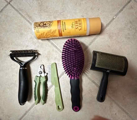 Photo of free Supplies for Small Dogs (Greenwich CT) #4