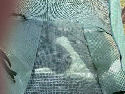 Photo of free Green House Zip up Cover Only (Billericay CM12) #4