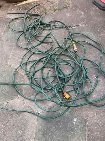 Photo of free Very long hose (Stanford-Le-Hope SS17) #1