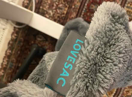 Photo of free PillowSac cover (West End) #1