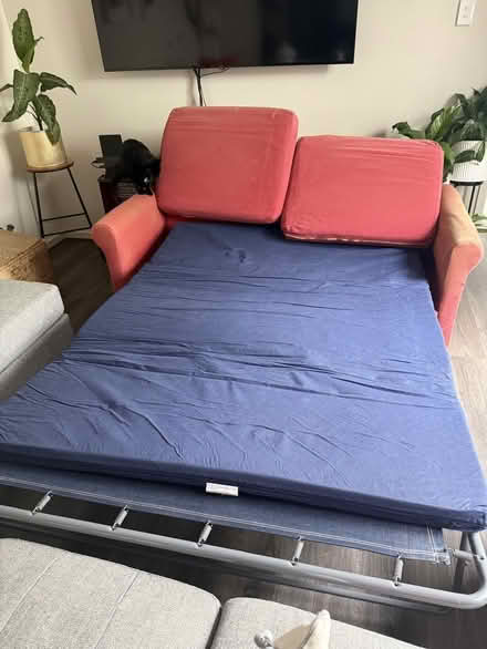 Photo of free 3 Seater Sofa Bed (Mango Hill) #2