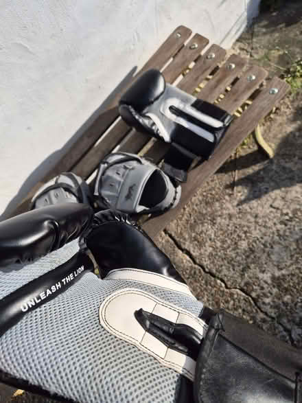 Photo of free Boxing gloves & pads (Charlton SE18) #3