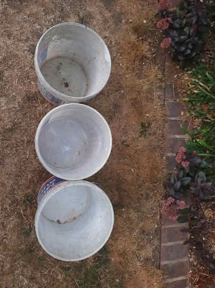 Photo of free 15L Mixing Buckets (Knebworth SG3) #2
