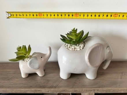 Photo of free Small ceramic elephants (Fontwell Meadows BN18) #1