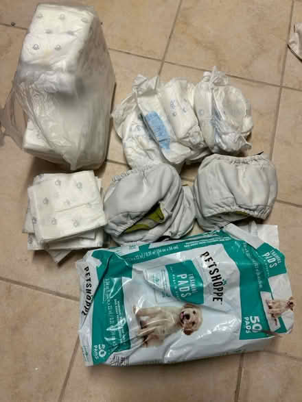 Photo of free Supplies for Small Dogs (Greenwich CT) #2